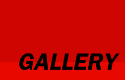 sezione gallery
